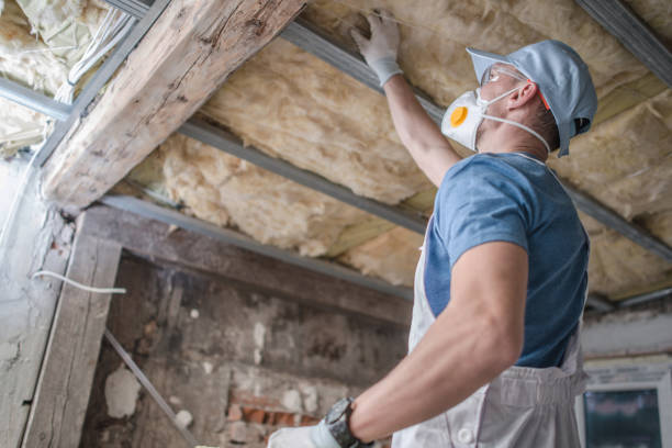 Best Cellulose Insulation  in Blennerhassett, WV